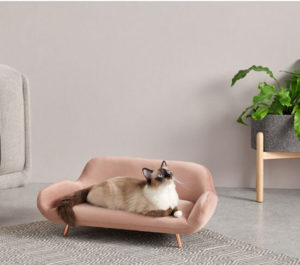 Midcentury modern pet sofas now available at Made - WowHaus